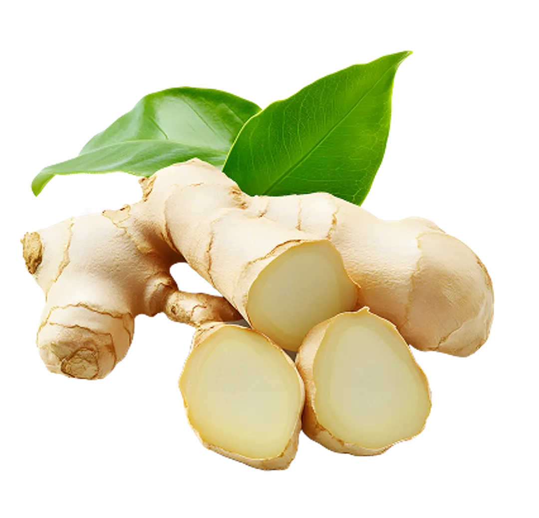 Tisane Gingembre citron